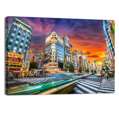 Tokyo Metropolis