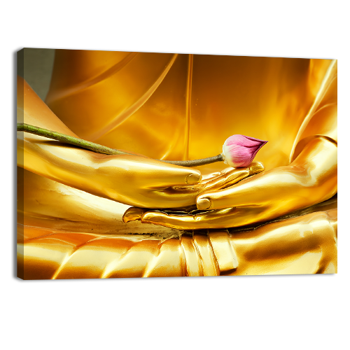 Lotus of Buddha