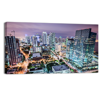 Miami Skyline