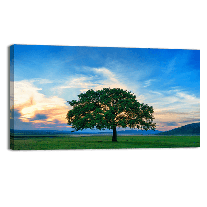 Beautiful and Old Oak