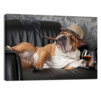 Dogs Life