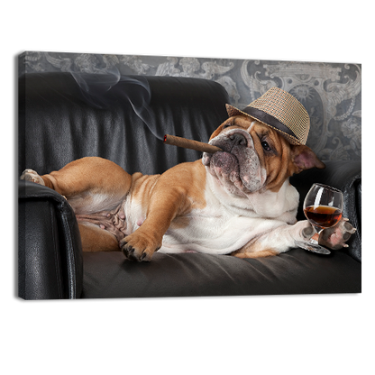 Dogs Life
