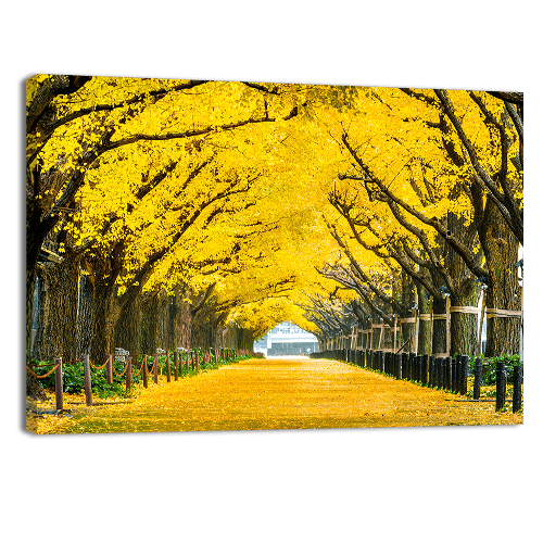 Row of yellow Trees