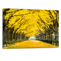 Row of yellow Trees