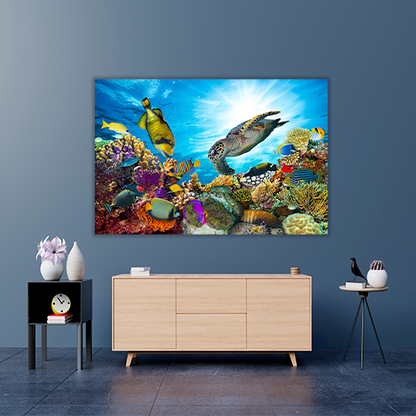 Colorful Coral Reef
