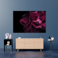 Dark red rose