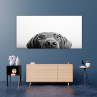 Curious Dog