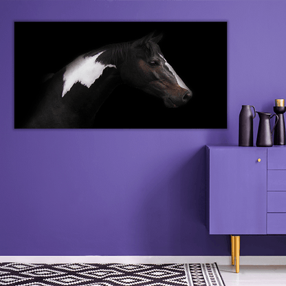 Skewbald Horse