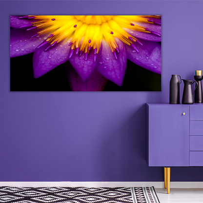 Purple lotus