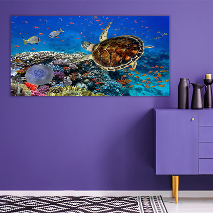 Coral Reff and Sea turtle