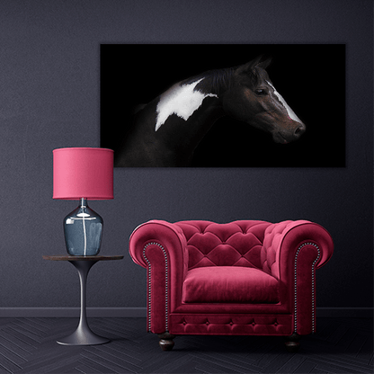 Skewbald Horse