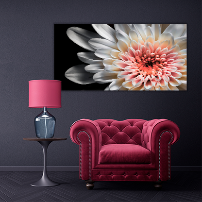 White dahlia