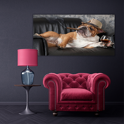 Dogs Life