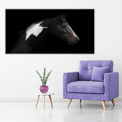 Skewbald Horse