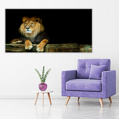 Lion Sitting on a Rock
