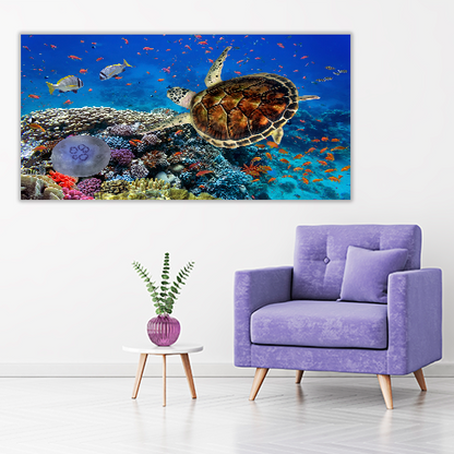 Coral Reff and Sea turtle