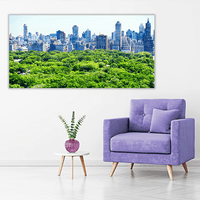 Skyline and Central Park