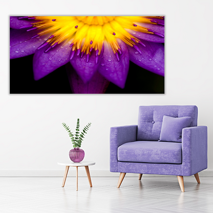 Purple lotus
