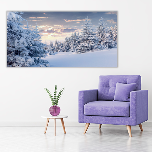 Sunny Winter
