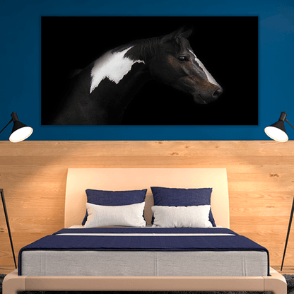 Skewbald Horse