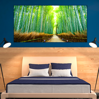 Bamboo forest in Japan