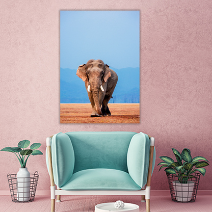 Big Tusker