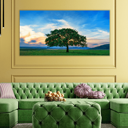 Beautiful and Old Oak