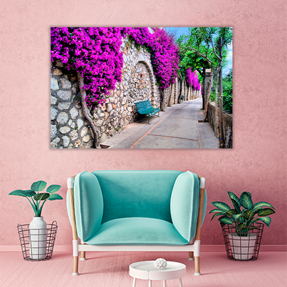 Pathway in Capri