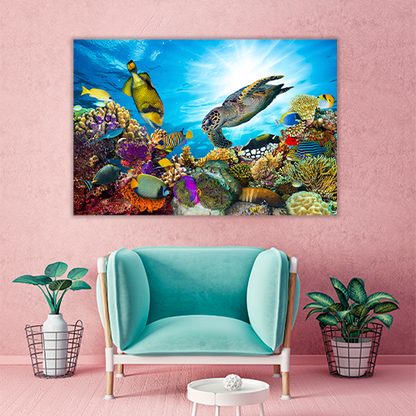 Colorful Coral Reef