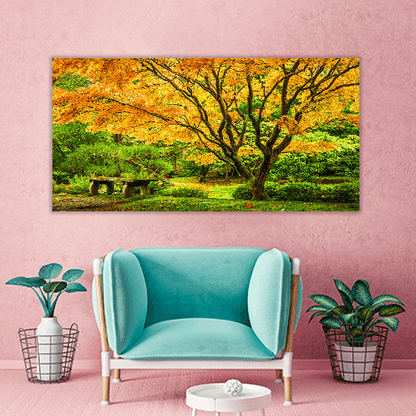 Japanese Maple Fall