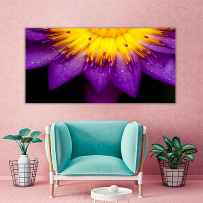 Purple lotus