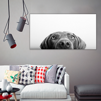 Curious Dog