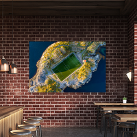 Football field in Henningsvaer