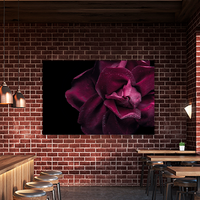 Dark red rose