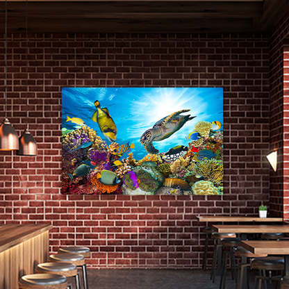 Colorful Coral Reef