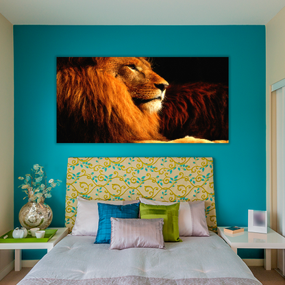 Lion in the dark