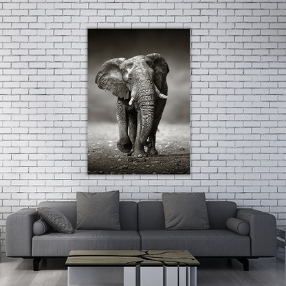 Elephant Approach
