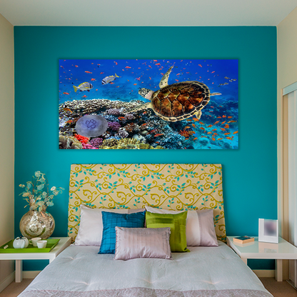Coral Reff and Sea turtle