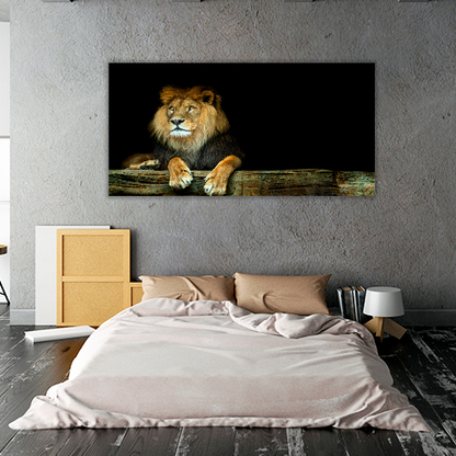 Lion Sitting on a Rock