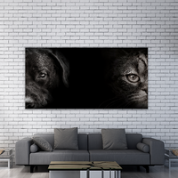 Cat and Dog