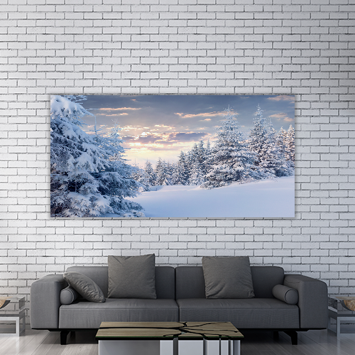 Sunny Winter