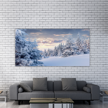 Sunny Winter