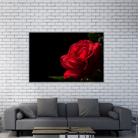 Red Rose Flower