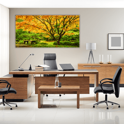 Japanese Maple Fall