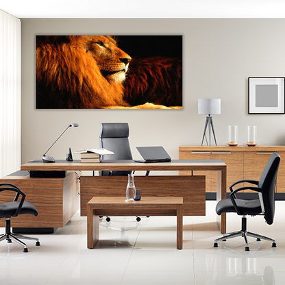 Lion in the dark