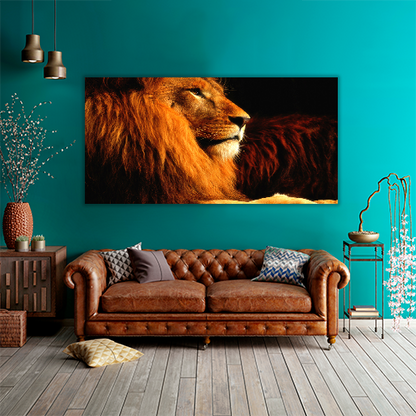 Lion in the dark