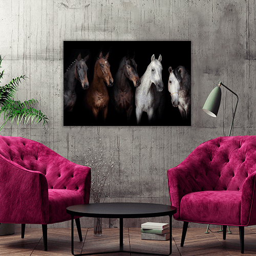 Horses Portrait