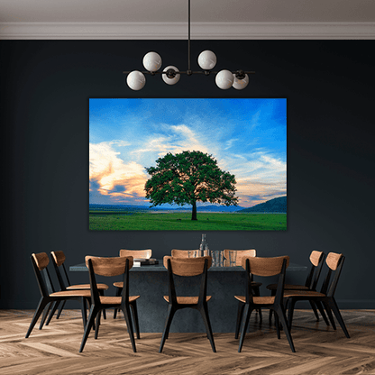 Beautiful and Old Oak