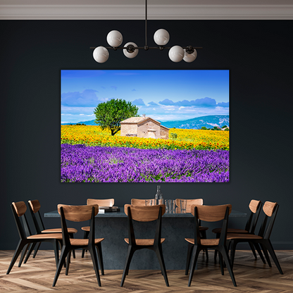 Sunflower Field Sky