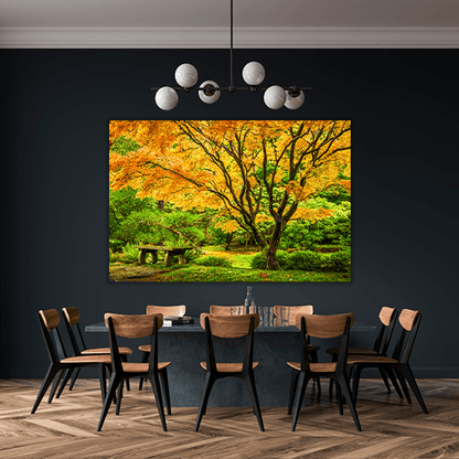 Japanese Maple Fall